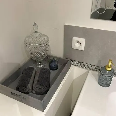 Appartement Le Petillant - Cathedrale Reims